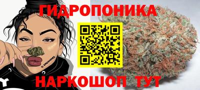 гидра Тара