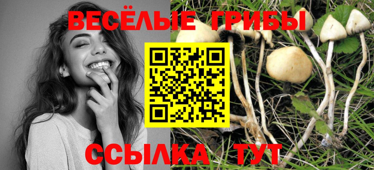 Керчь  Псилоцибиновые грибы MAGIC MUSHROOMS  Вход с VPN 