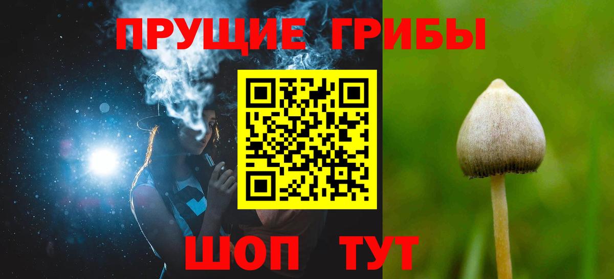 Псилоцибиновые грибы прущие грибы Керчь